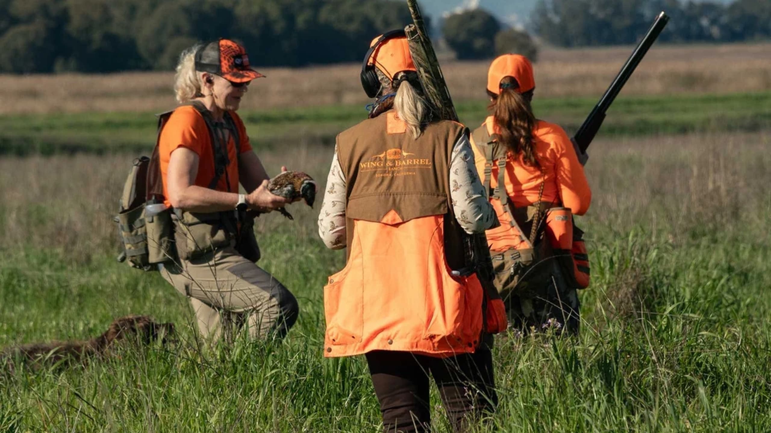 Three women in blaze orange check a pheasant during an upland hunt
